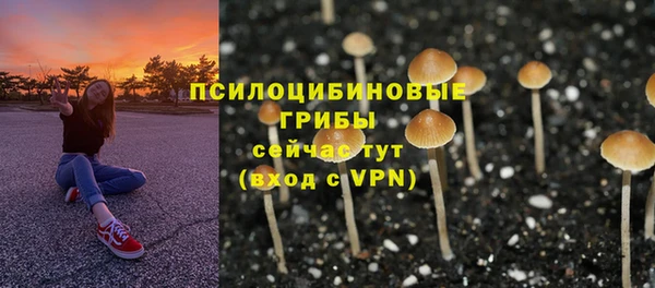 Альфа ПВП Армянск