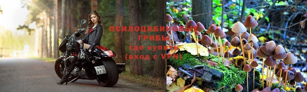 ALPHA PVP Арсеньев